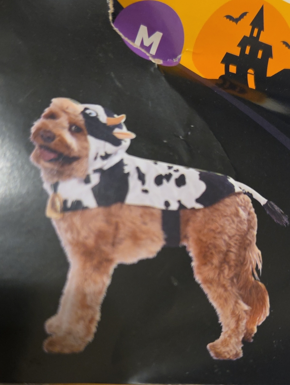 Dog Cow Costume - Black and White Pet Outfit